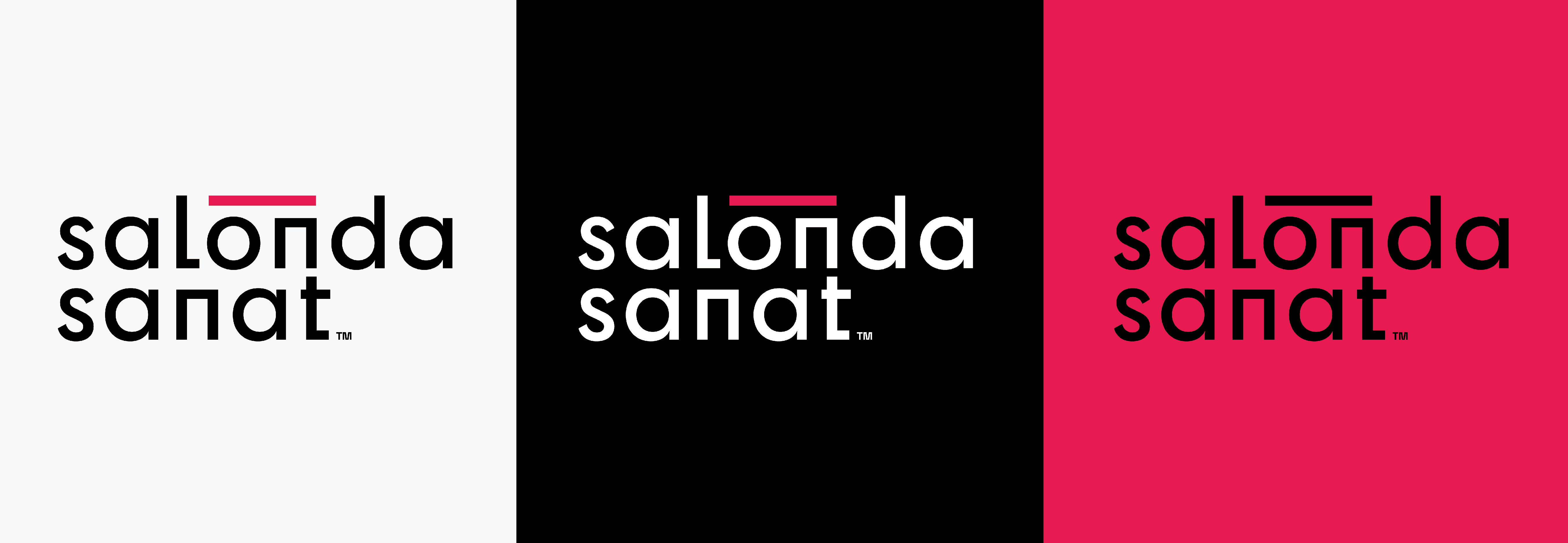 Salonda Sanat — proje görseli